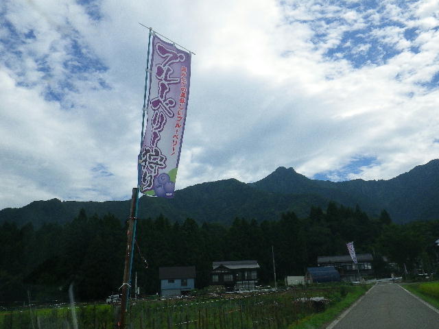 b0172209_9193156.jpg