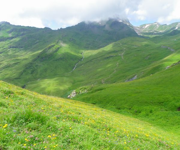 f0006510_1175496.jpg