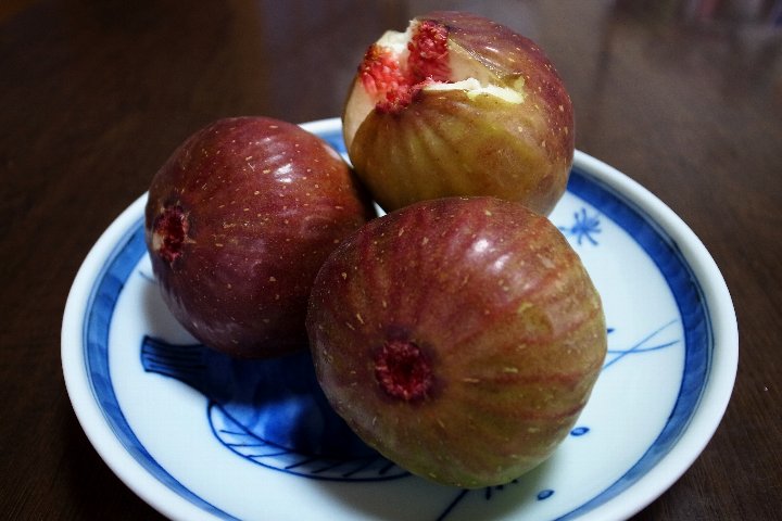 a0268412_20442377.jpg