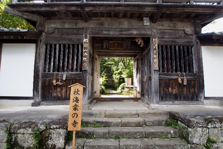 a0268412_2049169.jpg