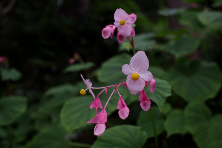 a0268412_2049556.jpg