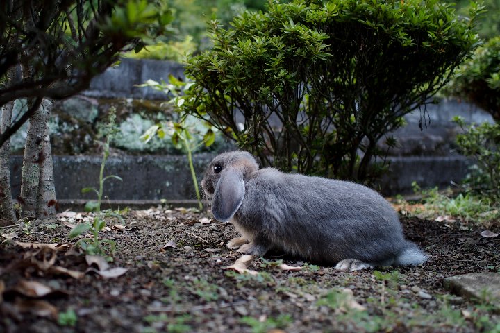 a0268412_23134820.jpg
