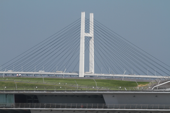 d0295126_1285771.jpg