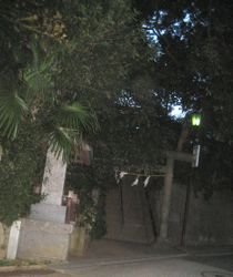 e0002927_17521969.jpg