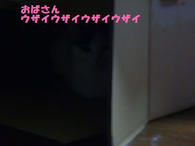 e0142430_10121263.jpg