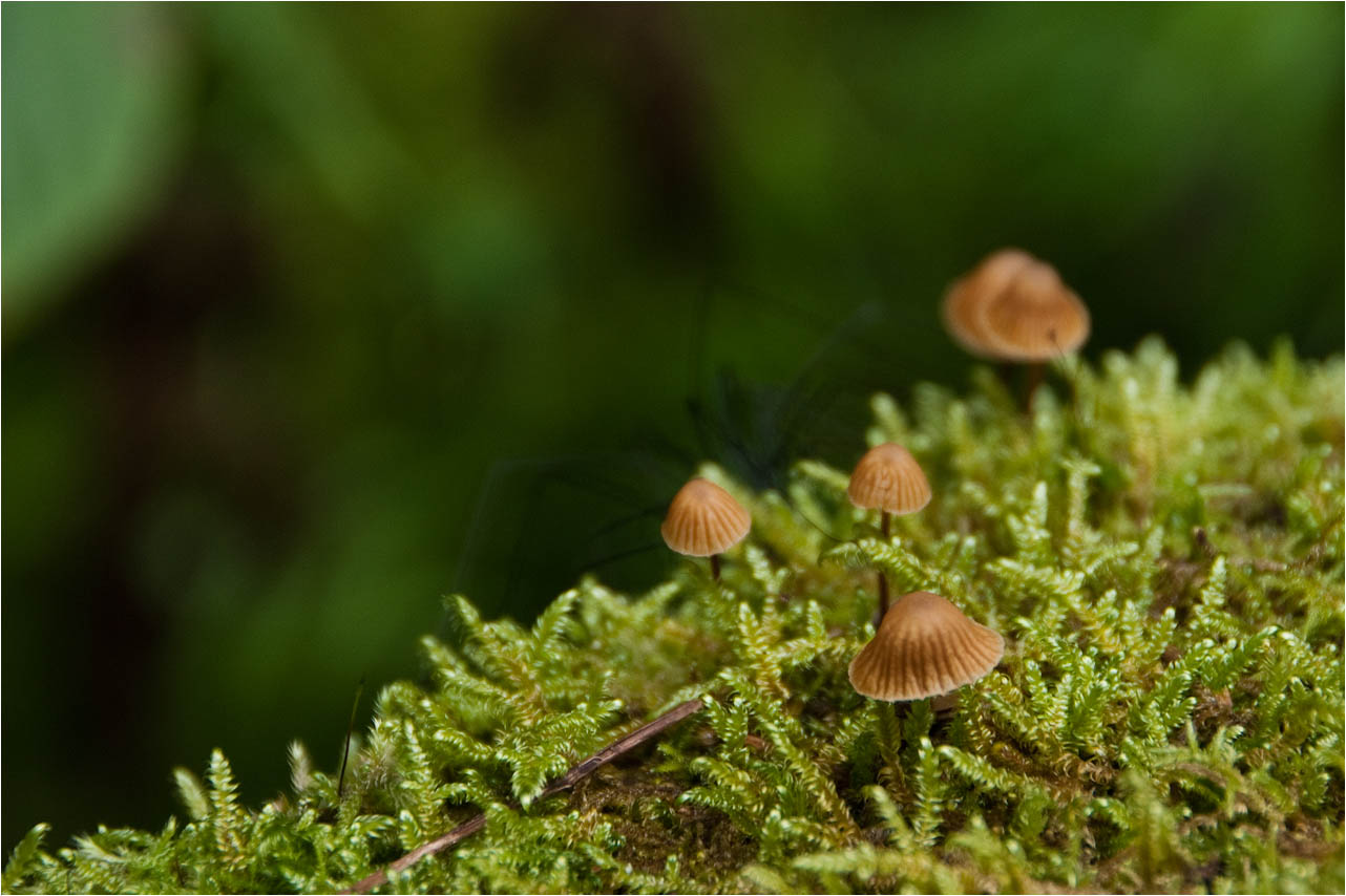 a0245331_20514571.jpg