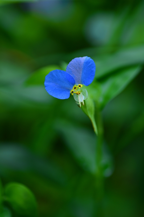 b0236334_20355345.jpg