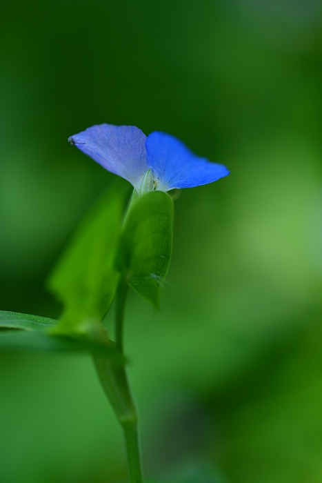 b0236334_20361353.jpg