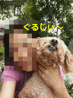 c0136736_18482556.gif