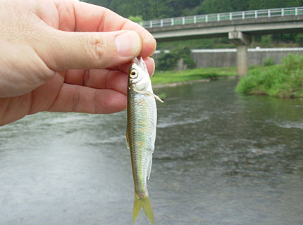 b0174137_21593451.jpg