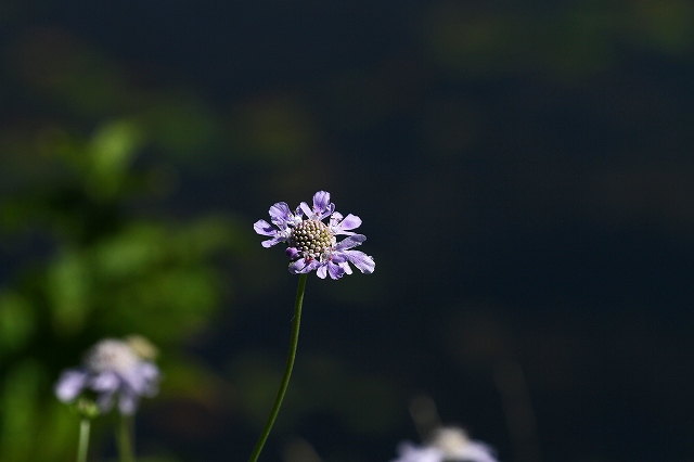 a0242438_19174146.jpg