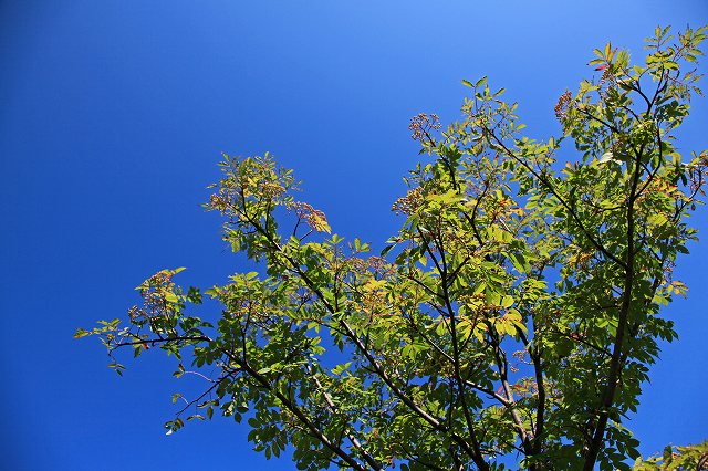 a0242438_19175543.jpg
