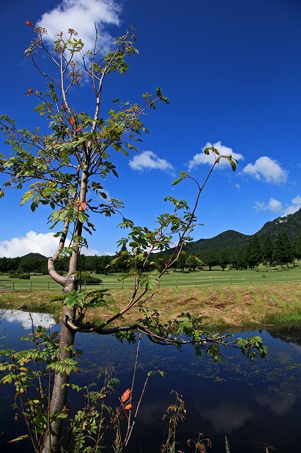 a0242438_1918738.jpg