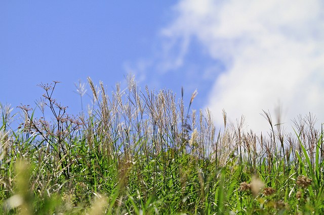 a0242438_19193396.jpg