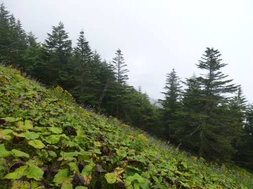 b0170644_22283740.jpg