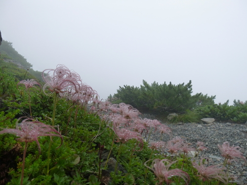 b0170644_2232997.jpg