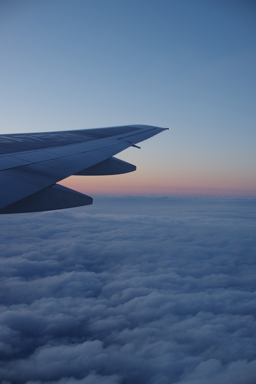 a0299749_21351461.jpg