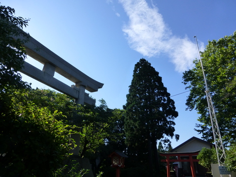 b0238249_20264150.jpg