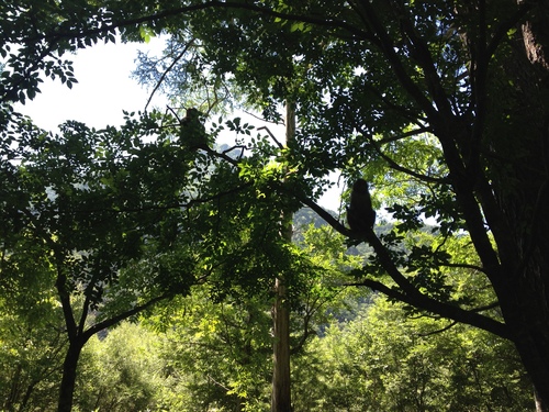 c0145449_17454296.jpg