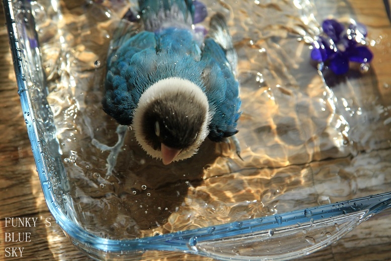 c0145250_9554613.jpg