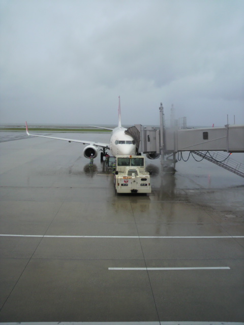 c0206352_1039525.jpg