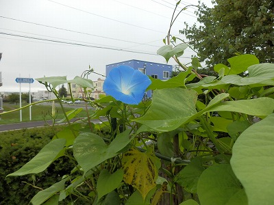 e0004756_21433949.jpg
