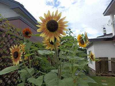 e0004756_22132851.jpg