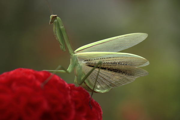 f0232758_22211025.jpg