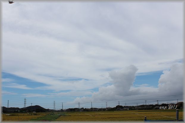 e0232963_1713896.jpg