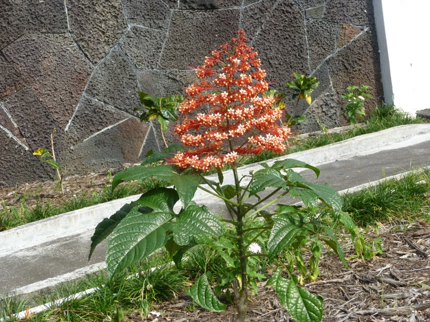 e0298866_219163.jpg