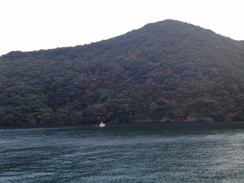 f0207669_1114584.jpg