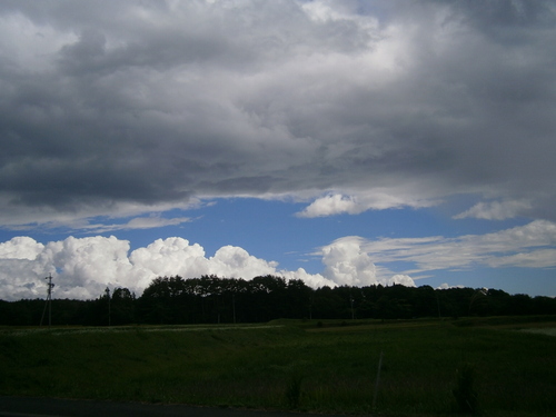 a0240971_621296.jpg
