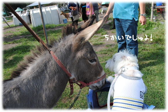 b0242873_23524431.png