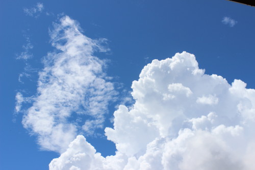 e0114977_1912447.jpg
