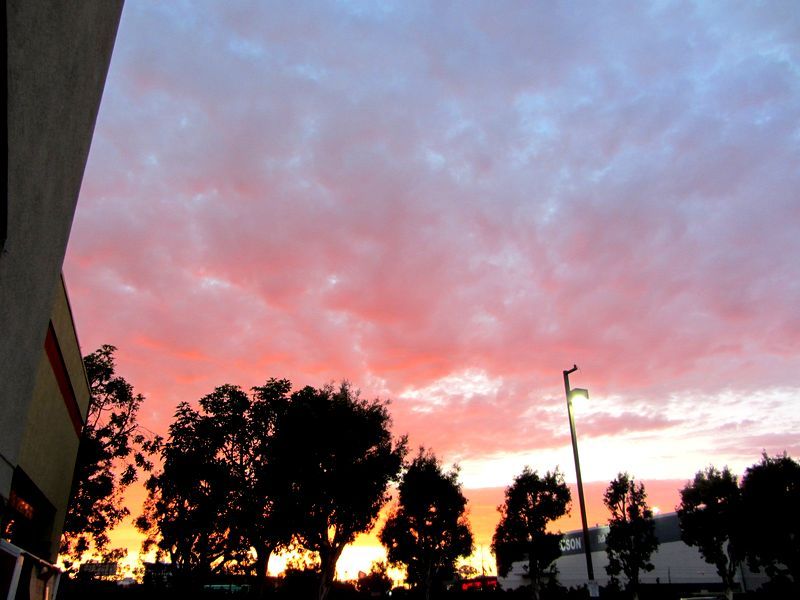 b0202185_151849.jpg