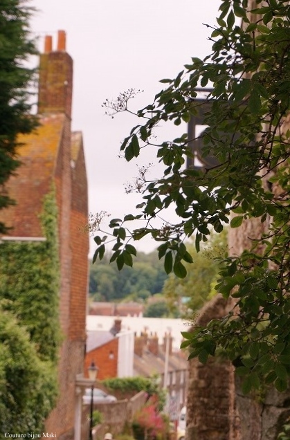 e0043686_1758724.jpg