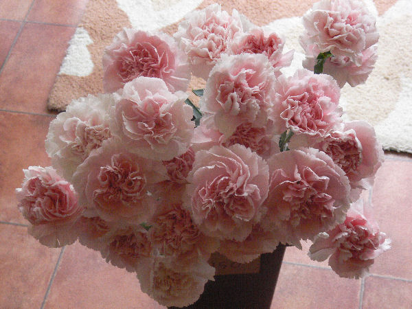 e0140986_1513539.jpg