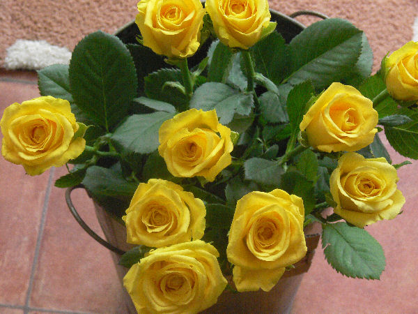 e0140986_15153898.jpg