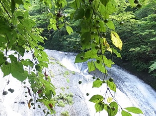 a0258087_18145687.jpg