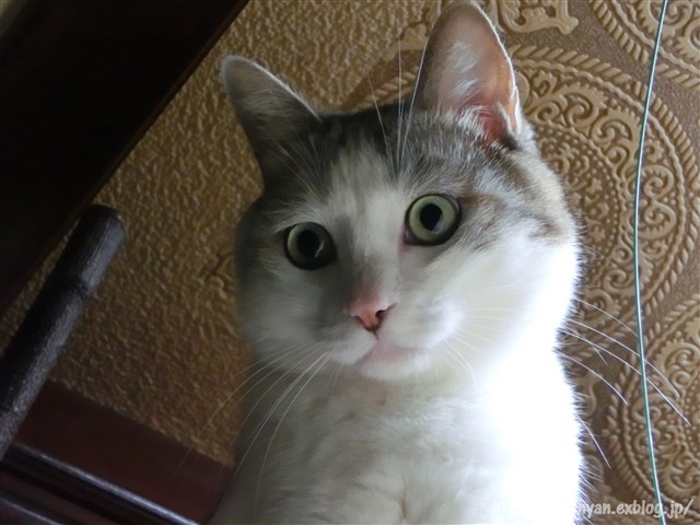 a0159490_16472428.jpg