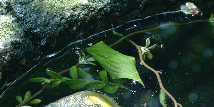 f0153497_14573225.jpg
