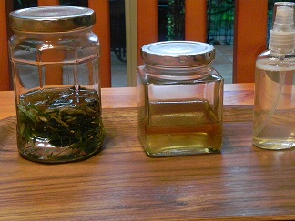 c0152002_1016473.jpg