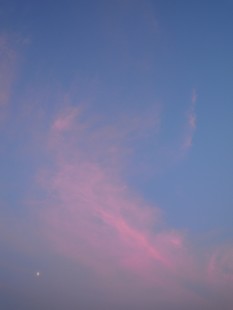 e0206902_23491096.jpg