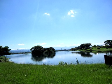 a0040103_19564882.jpg