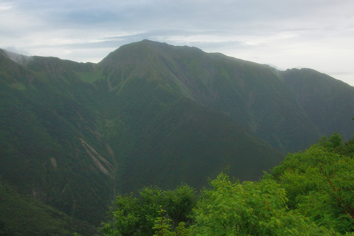 a0148606_17392486.jpg