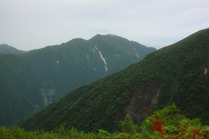 a0148606_17394421.jpg