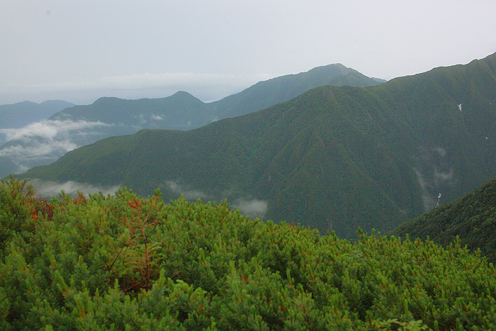 a0148606_17402625.jpg