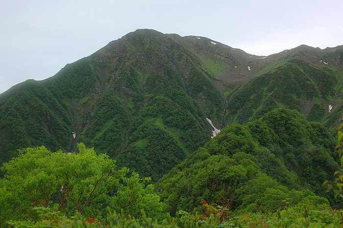 a0148606_1741188.jpg