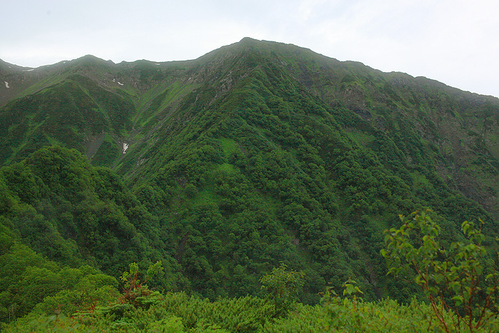 a0148606_17415296.jpg