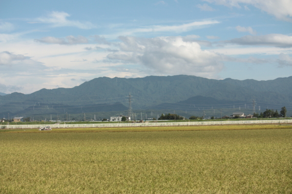 d0001008_15331826.jpg